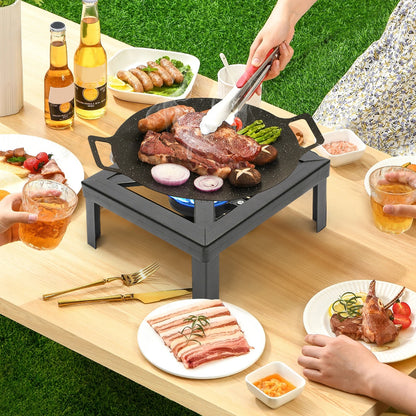Single Burner Outdoor Propane Gas Stove